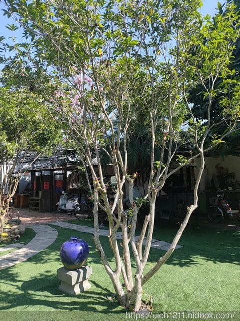 田中窯燒貓村(三民社區)