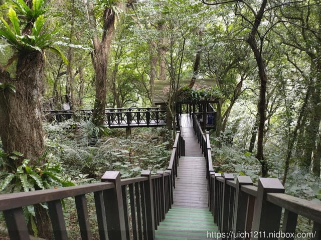 青蛙石天空步道 - 第35張圖 青蛙石天空步道