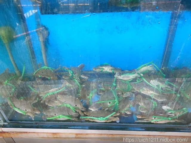 手信坊創意和菓子文化館 - 第32張圖 手信坊創意和菓子文化館