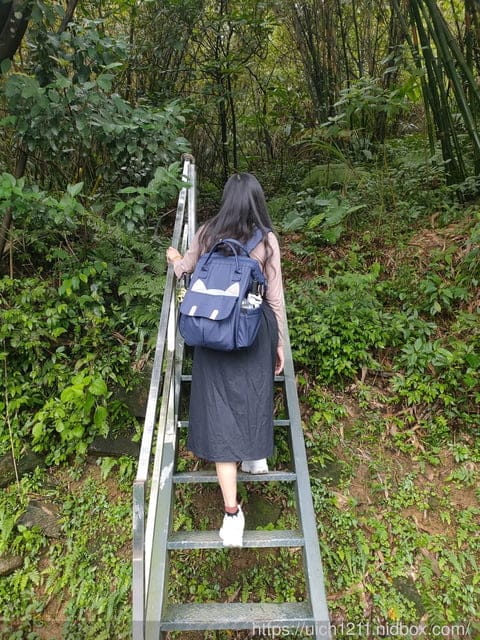 新北之旅 - 第4張圖 新北之旅