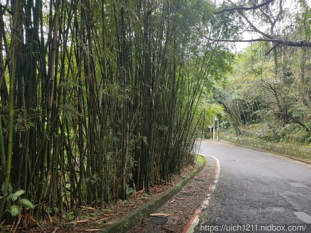 新北之旅 - 第3張圖 新北之旅