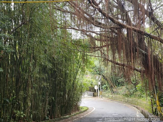 新北之旅 - 第6張圖 新北之旅