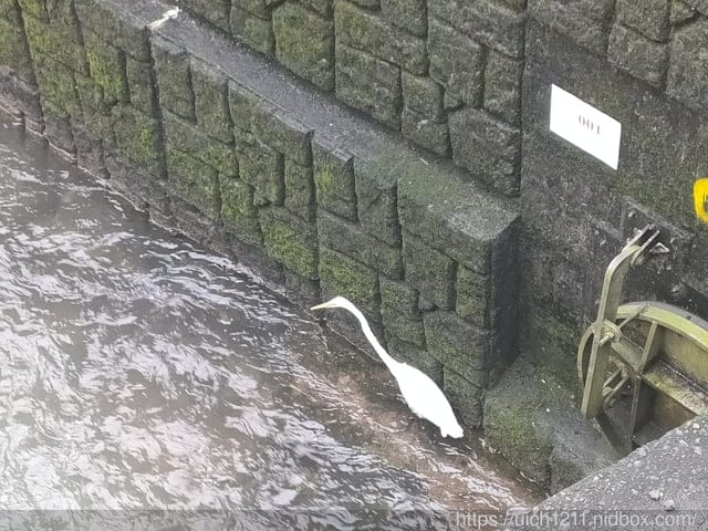 新北之旅 - 第12張圖 新北之旅