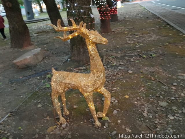 花蓮好好玩
