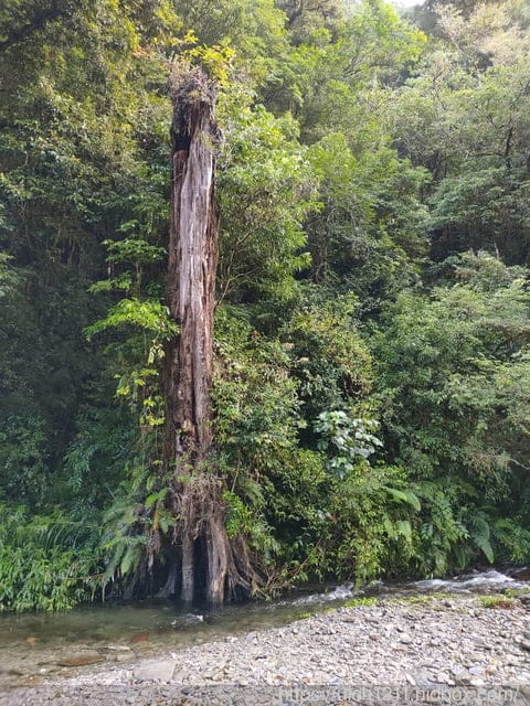 南三段之旅一