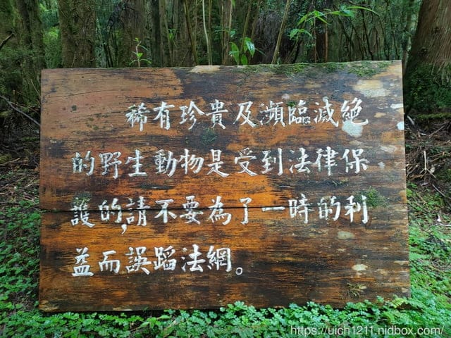南三段之旅一