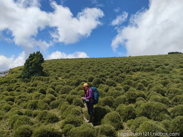 南三段之旅五