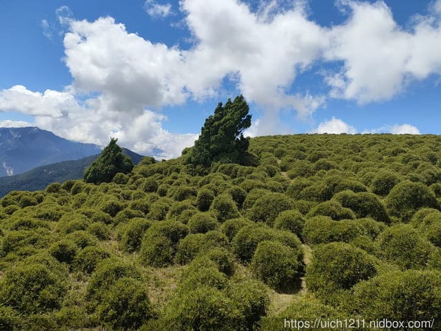 南三段之旅五