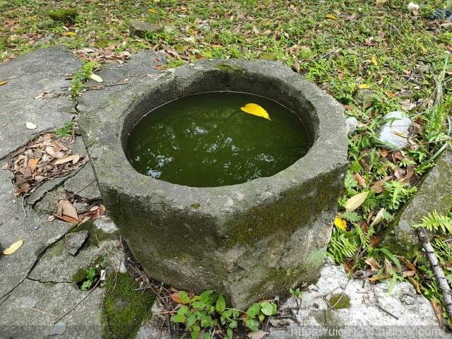 錐麓古道 - 第43張圖 錐麓古道