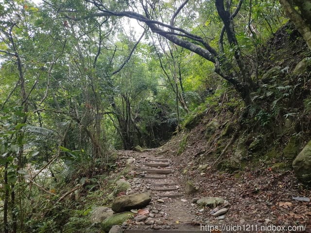 錐麓古道 - 第9張圖 錐麓古道