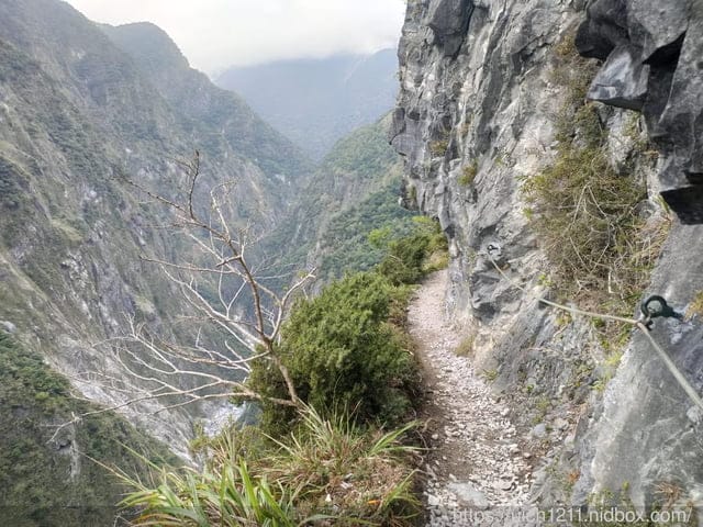 錐麓古道 - 第37張圖 錐麓古道