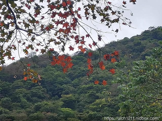 錐麓古道 - 第14張圖 錐麓古道