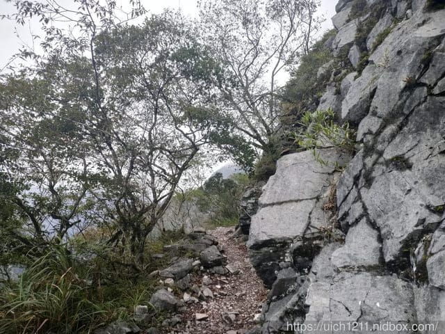 錐麓古道 - 第24張圖 錐麓古道