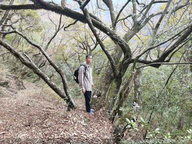 跨年部落巡禮 - 第84張圖 跨年部落巡禮