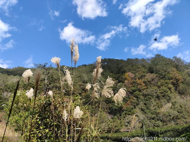 跨年部落巡禮 - 第7張圖 跨年部落巡禮