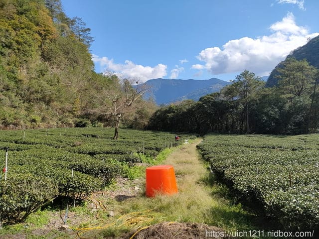 跨年部落巡禮 - 第8張圖 跨年部落巡禮