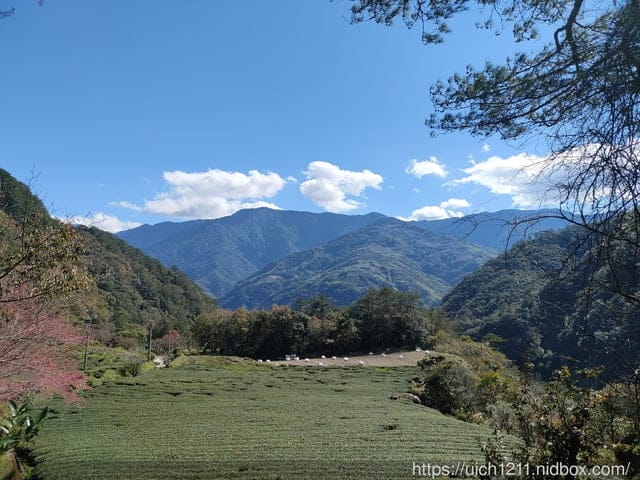 跨年部落巡禮 - 第5張圖 跨年部落巡禮