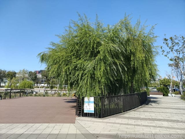 台中市之旅 - 第4張圖 台中市之旅
