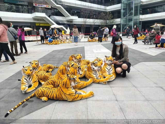 台中市之旅 - 第30張圖 台中市之旅