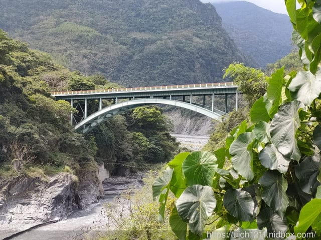 台東延平鄉之旅 - 第44張圖 台東延平鄉之旅