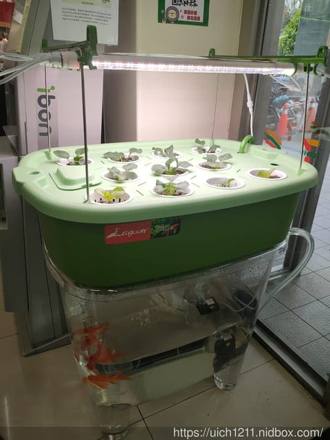 太麻里文創咖啡館 - 第22張圖 太麻里文創咖啡館