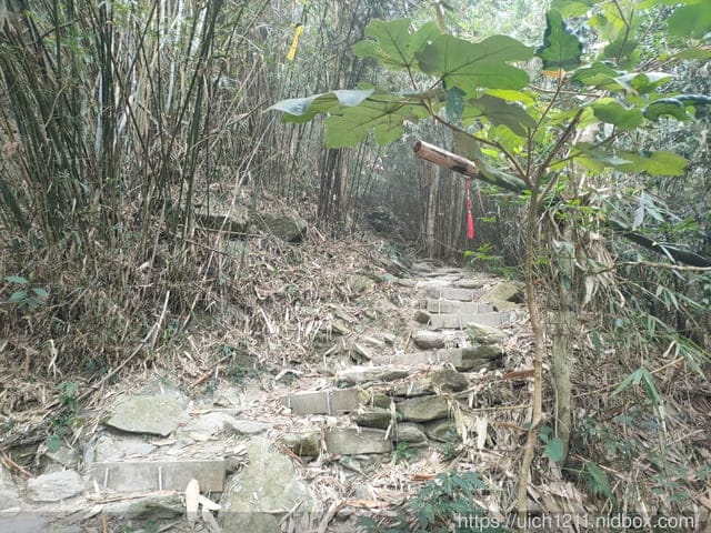 尾寮山小百岳 - 第13張圖 尾寮山小百岳