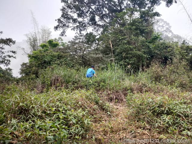 尾寮山小百岳 - 第10張圖 尾寮山小百岳