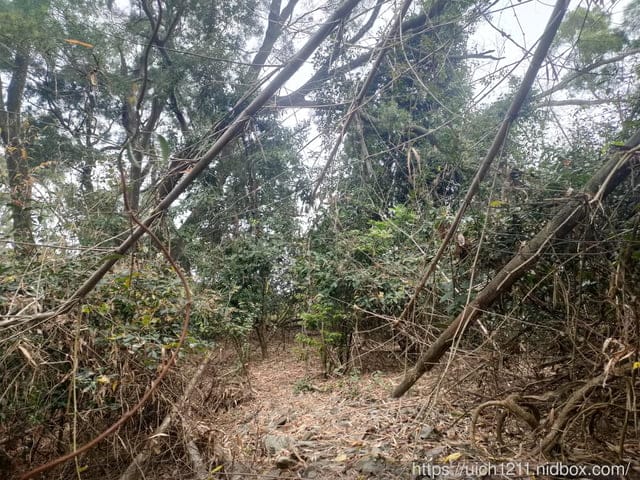 尾寮山小百岳 - 第8張圖 尾寮山小百岳
