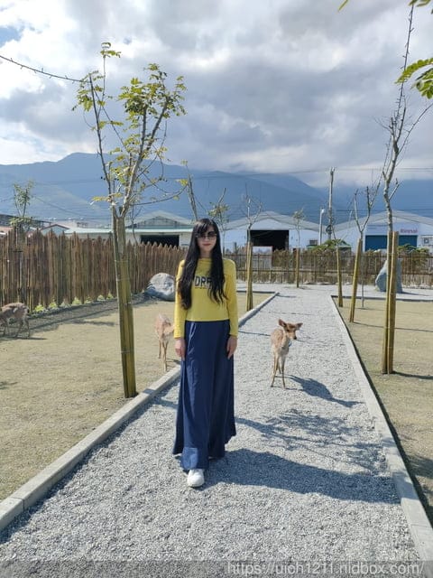 張家の樹園 - 第7張圖 張家の樹園