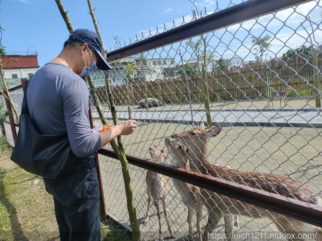 張家の樹園 - 第15張圖 張家の樹園