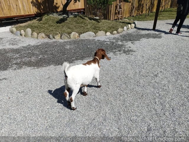 張家の樹園 - 第9張圖 張家の樹園