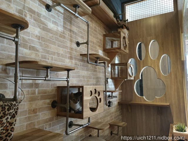 張家の樹園 - 第20張圖 張家の樹園