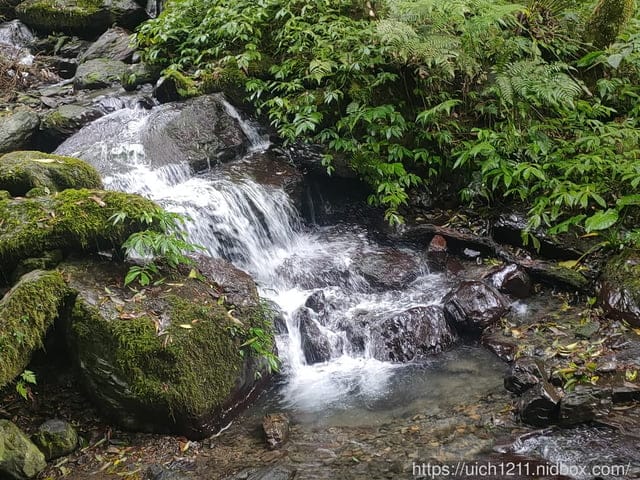 抹茶山 - 第13張圖 抹茶山