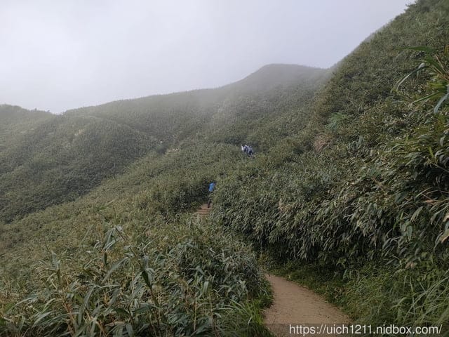 抹茶山 - 第16張圖 抹茶山