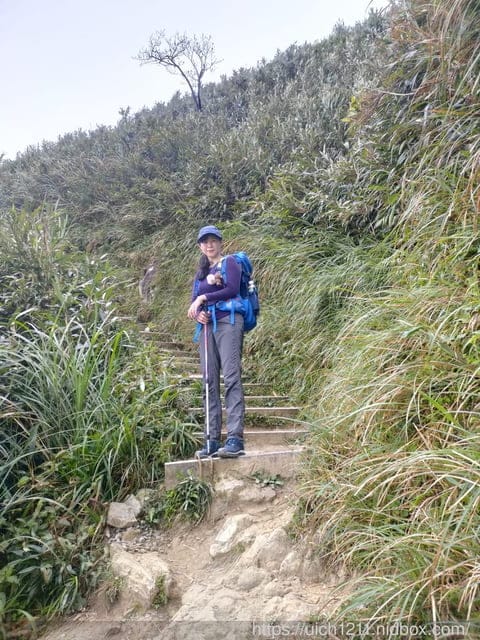 抹茶山 - 第18張圖 抹茶山