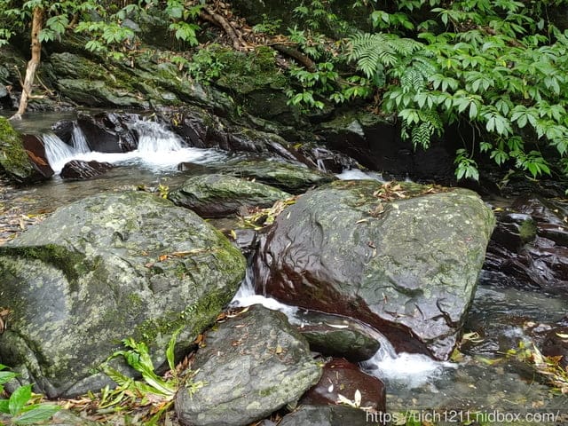 抹茶山 - 第11張圖 抹茶山