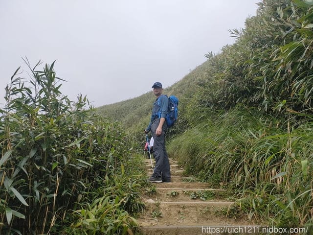 抹茶山 - 第17張圖 抹茶山