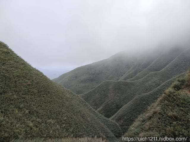 抹茶山 - 第26張圖 抹茶山