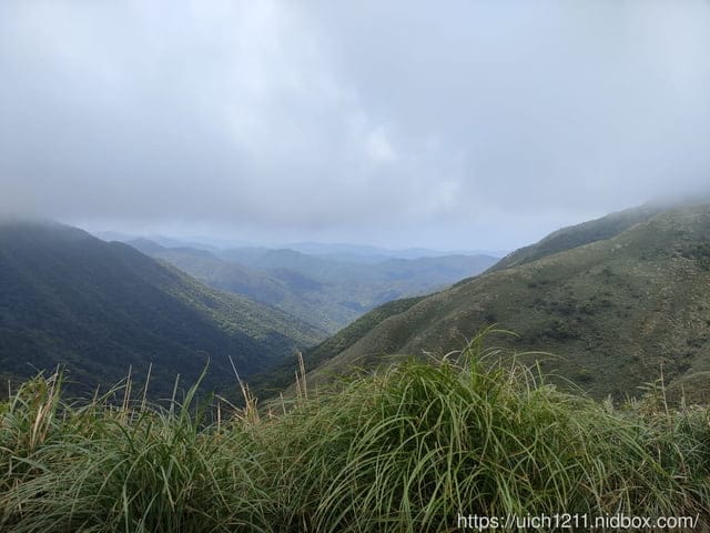 抹茶山 - 第35張圖 抹茶山