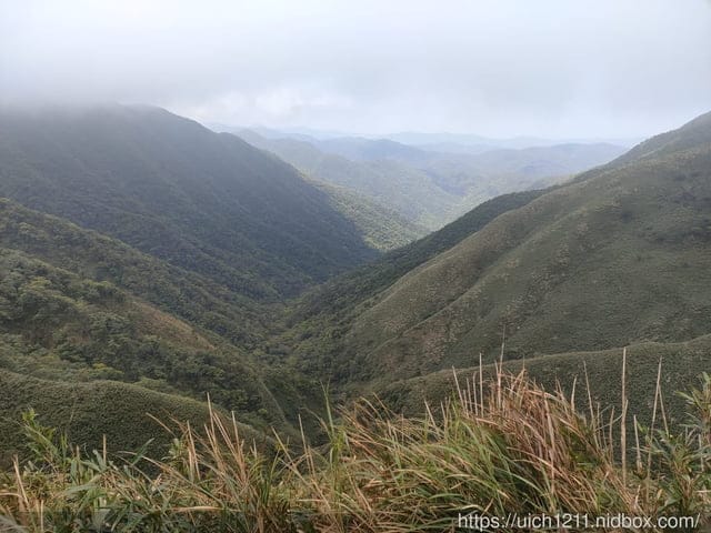 抹茶山 - 第32張圖 抹茶山