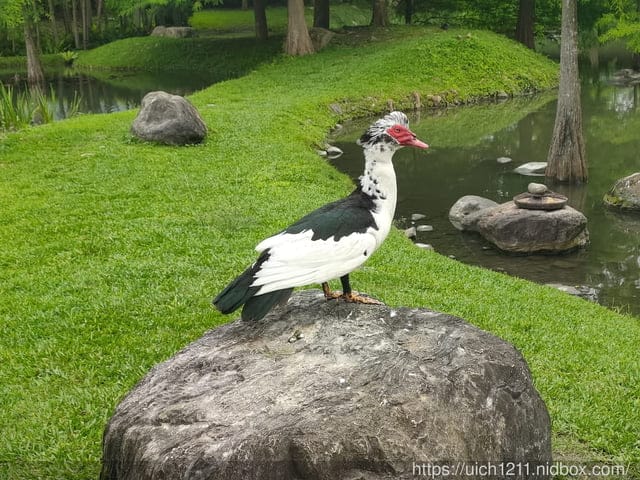 松湖驛站風味餐