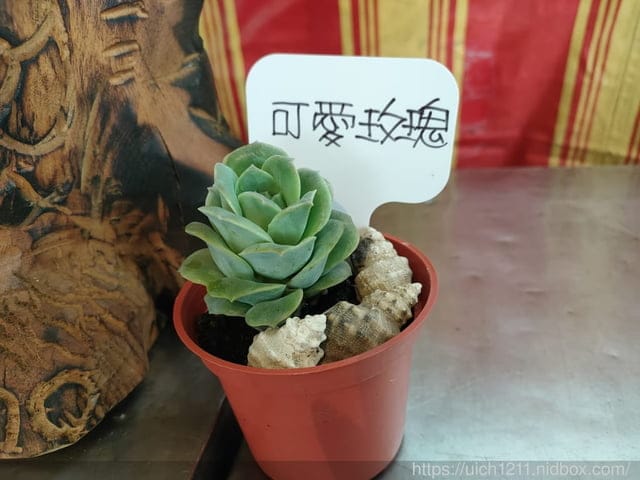 馬祖護照之旅