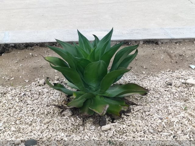 澎湖走透透