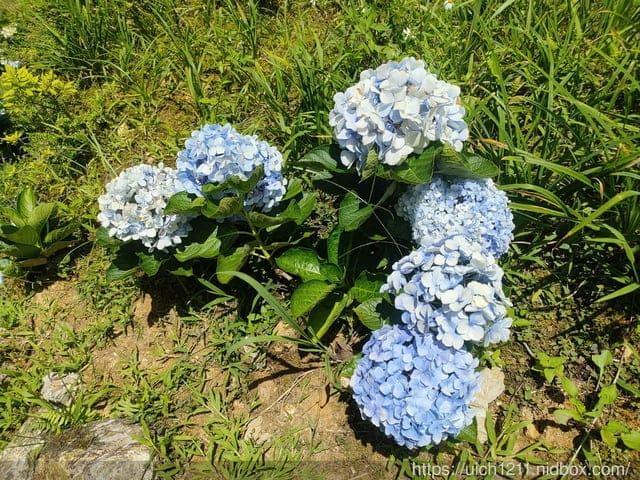 立霧山砂卡噹
