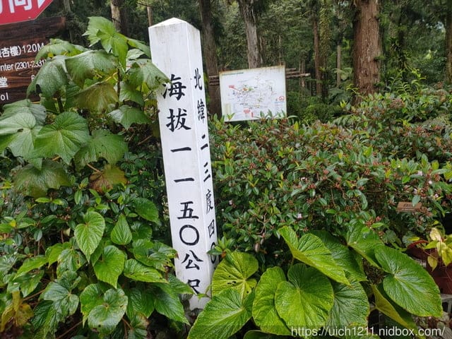溪頭森林遊樂園區