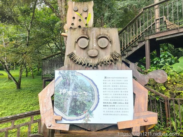 溪頭森林遊樂園區