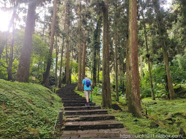 溪頭森林遊樂園區