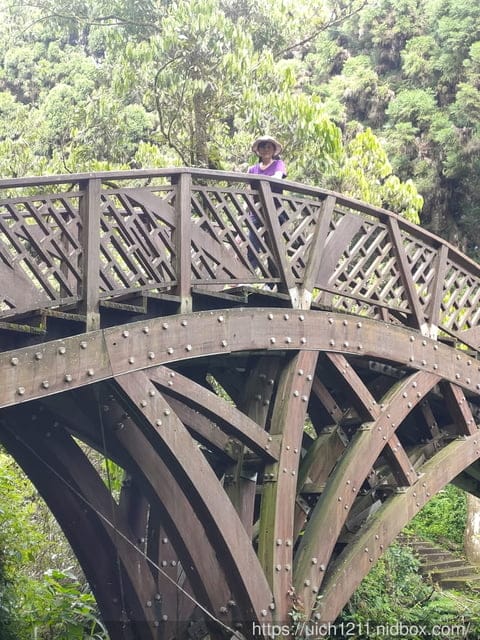 溪頭森林遊樂園區