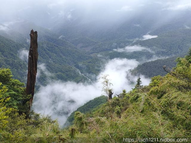 玉山西峰 - 第21張圖 玉山西峰