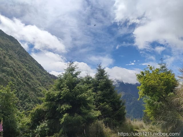 玉山西峰 - 第8張圖 玉山西峰